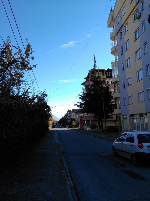 Toshe
